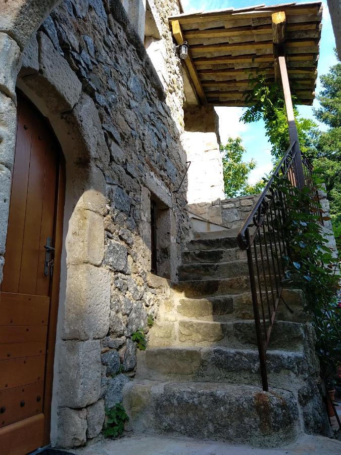 Les Chataigniers Gites Du Mas Haut Saint-Jean-du-Gard Ngoại thất bức ảnh